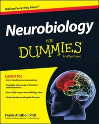 bokomslag Neurobiology For Dummies