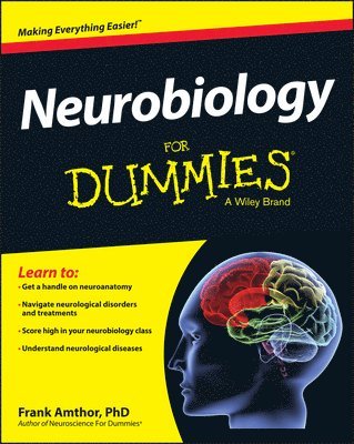 bokomslag Neurobiology For Dummies