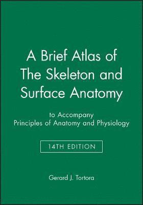 bokomslag A Brief Atlas of The Skeleton and Surface Anatomy to accompany Principles of Anatomy and Physiology, 14e