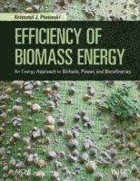 bokomslag Efficiency of Biomass Energy
