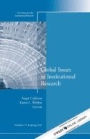bokomslag Global Issues in Institutional Research