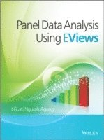 bokomslag Panel Data Analysis using EViews