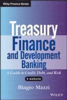 bokomslag Treasury Finance and Development Banking, + Website