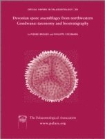 bokomslag Special Papers in Palaeontology, Devonian Spore Assemblages from North-Western Gondwana