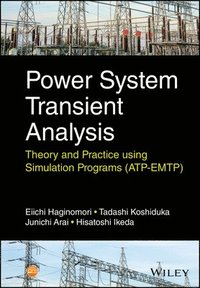 bokomslag Power System Transient Analysis