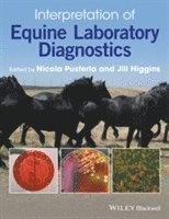 bokomslag Interpretation of Equine Laboratory Diagnostics