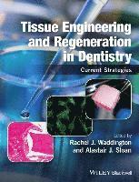 bokomslag Tissue Engineering and Regeneration in Dentistry