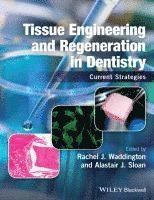 bokomslag Tissue Engineering and Regeneration in Dentistry