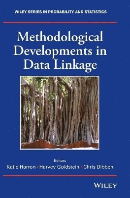 bokomslag Methodological Developments in Data Linkage