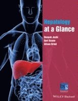 bokomslag Hepatology at a Glance