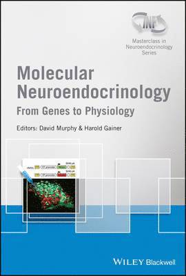 David Murphy, Harold Gainer - Molecular Neuroendocrinology, Inbunden