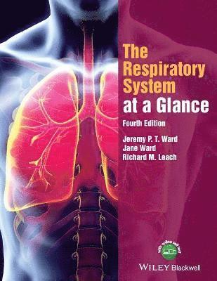 Respiratory System at a Glance