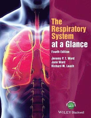 The Respiratory System at a Glance 1