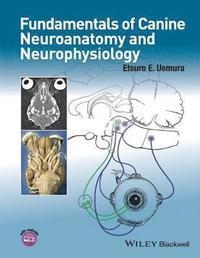 bokomslag Fundamentals of Canine Neuroanatomy and Neurophysiology