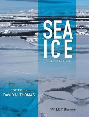 bokomslag Sea Ice