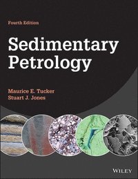 bokomslag Sedimentary Petrology