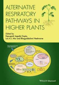bokomslag Alternative Respiratory Pathways in Higher Plants