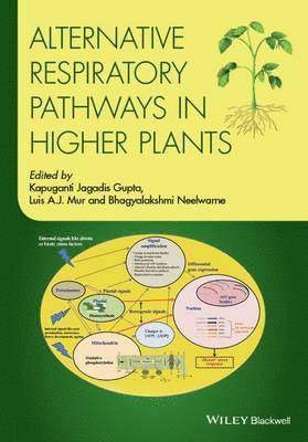 bokomslag Alternative Respiratory Pathways in Higher Plants