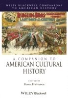 A Companion to American Cultural History 1