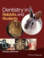 bokomslag Dentistry in Rabbits and Rodents