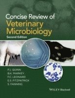 bokomslag Concise Review of Veterinary Microbiology