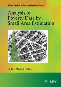 bokomslag Analysis of Poverty Data by Small Area Estimation