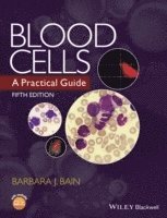 Blood Cells 1