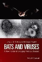 bokomslag Bats and Viruses