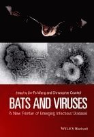 bokomslag Bats and Viruses