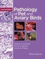 bokomslag Pathology of Pet and Aviary Birds