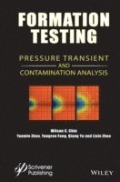 Wilson C. Chin, Yanmin Zhou, Yongren Feng, Qiang Yu, Lixin Zhao, Wilson C Chin - Formation Testing, Inbunden