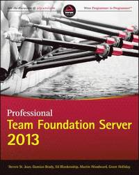 bokomslag Professional Team Foundation Server 2013