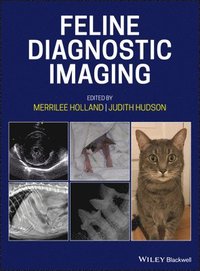 bokomslag Feline Diagnostic Imaging