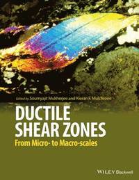 bokomslag Ductile Shear Zones