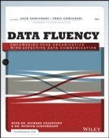 bokomslag Data Fluency