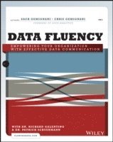 Data Fluency