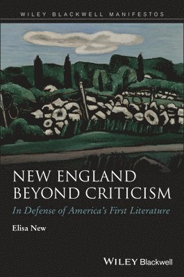 Elisa New - New England Beyond Criticism, Häftad