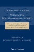 bokomslag Wittgenstein: Rules, Grammar and Necessity