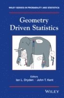 bokomslag Geometry Driven Statistics