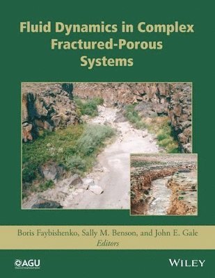 Boris Faybishenko, Sally M. Benson, John E. Gale - Fluid Dynamics in Complex Fractured-Porous Systems, Inbunden