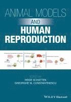 bokomslag Animal Models and Human Reproduction