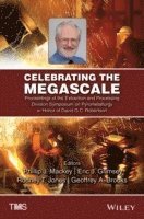 Celebrating the Megascale 1