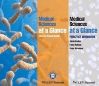 bokomslag Medical Sciences at a Glance Text and Workbook