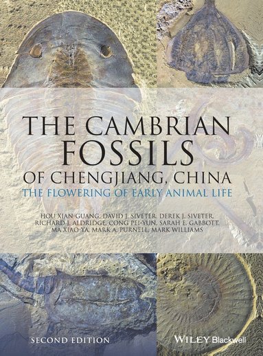 Hou Xian-Guang, David J. Siveter, Derek J. Siveter, Richard J. Aldridge, Cong Pei-Yun, Sarah E. Gabbott, Ma Xiao-Ya, Mark A. Purnell, Mark Williams - Cambrian Fossils of Chengjiang, China, Inbunden