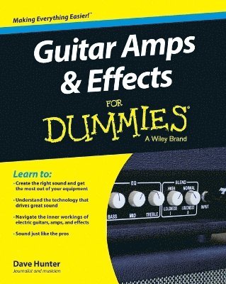 Guitar Amps & Effects For Dummies 1