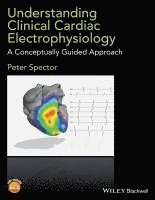 Peter Spector, USA) Spector, Peter (University of Vermont College of Medicine, Burlington, VT - Understanding Clinical Cardiac Electrophysiology, Häftad