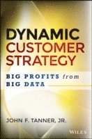 bokomslag Analytics and Dynamic Customer Strategy: Big Profits from Big Data