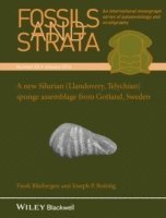 Freek Rhebergen, Joseph Botting - New Silurian (Llandovery, Telychian) Sponge Assemblage from Gotland, Sweden, Häftad