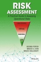 bokomslag Risk Assessment