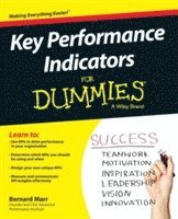 bokomslag Key Performance Indicators For Dummies